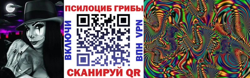продажа наркотиков  Дзержинск  Псилоцибиновые грибы Psilocybine cubensis 